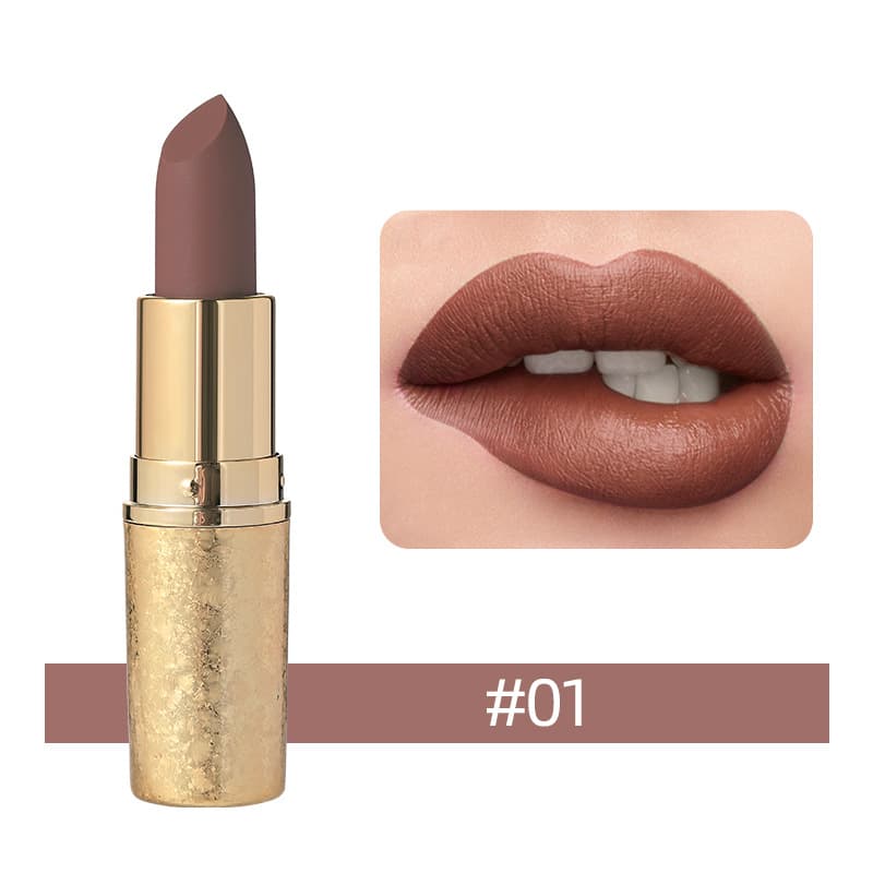 Vinciner Matte Lipstick shade 1456c01
