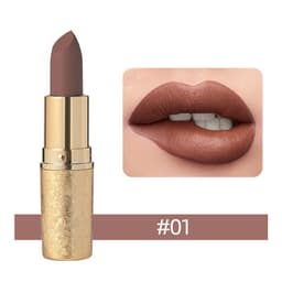 Vinciner Matte Lipstick shade 1456c01