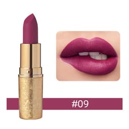 Vinciner Matte Lipstick shade 1456c09
